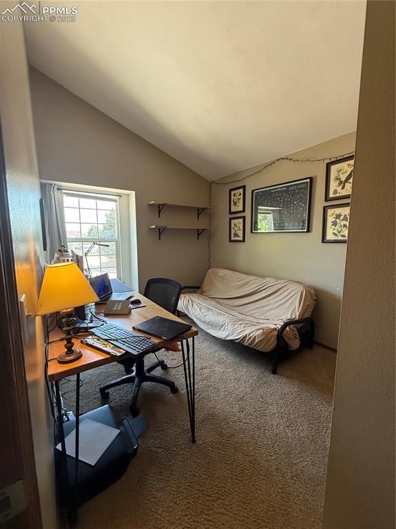Image 15 of 17: Other