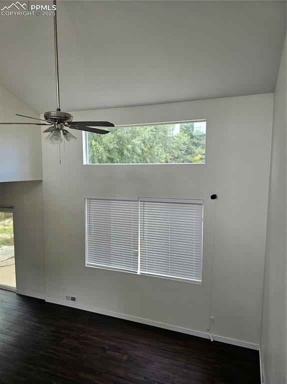 Image 23 of 50: Other