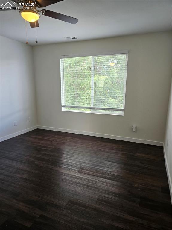 Image 31 of 50: Other