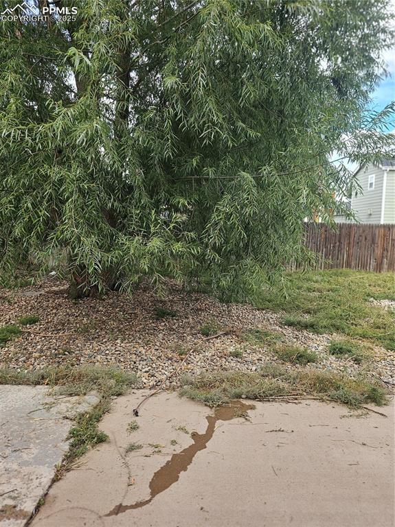 Image 48 of 50: Yard