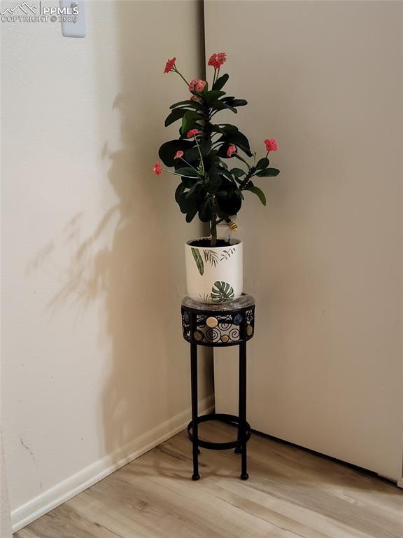 Image 14 of 30: Other