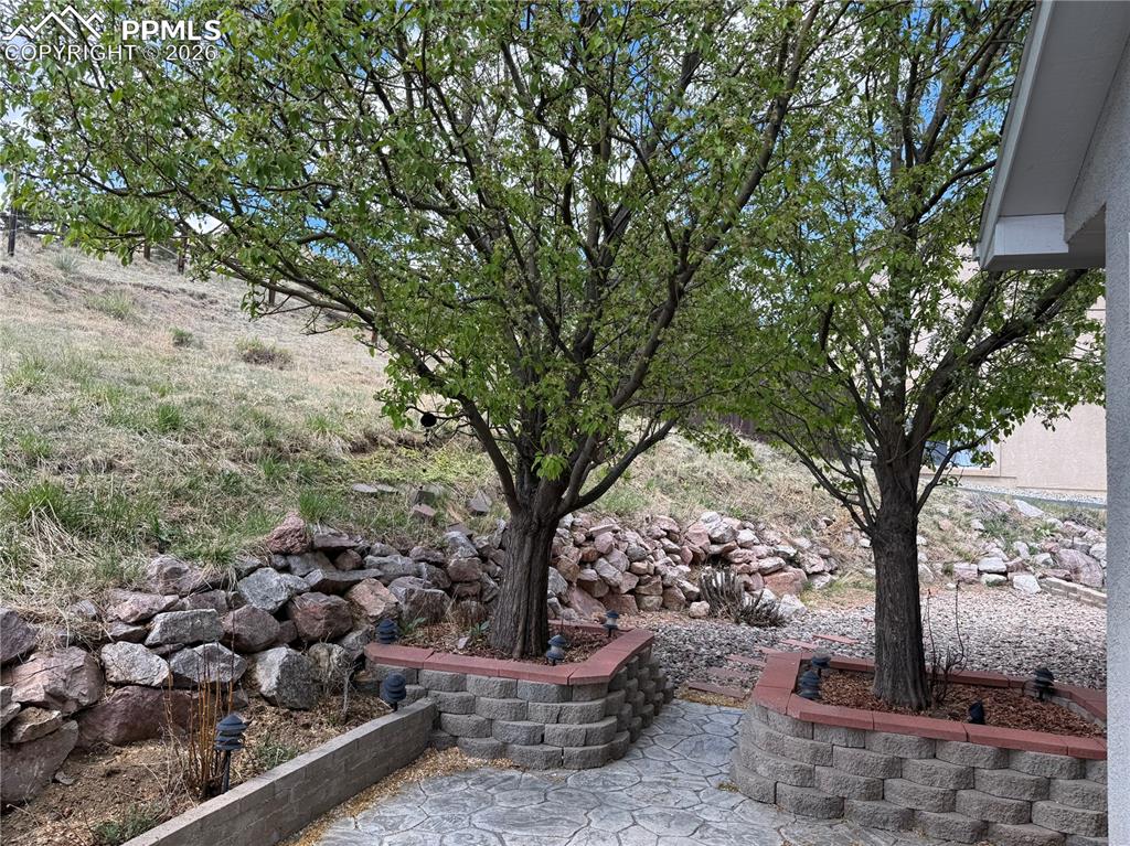 Image 24 of 24: Yard