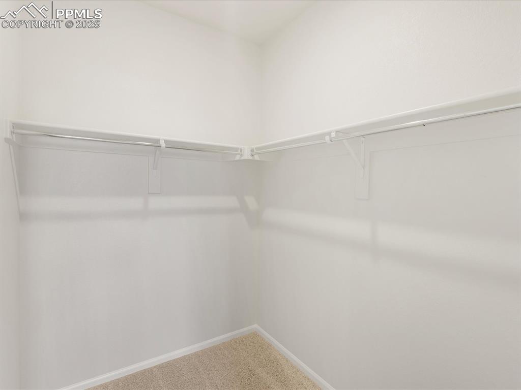 Image 16 of 40: Walk in closet with carpet floors