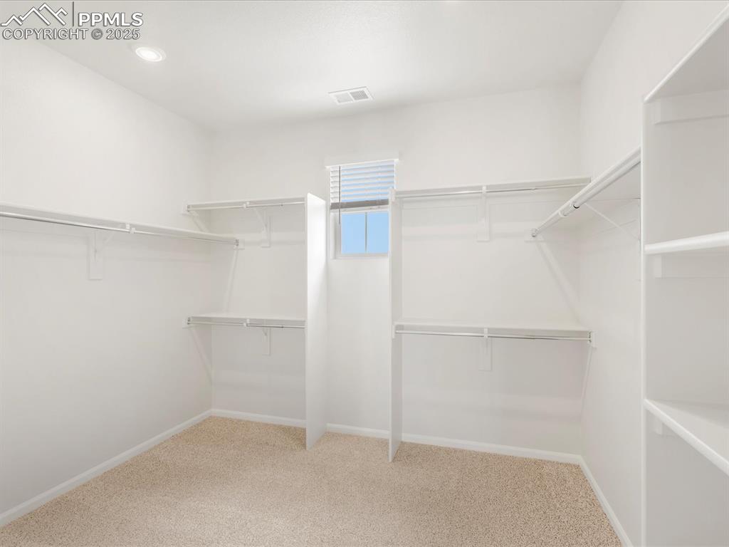 Image 27 of 40: Walk in closet featuring carpet floors