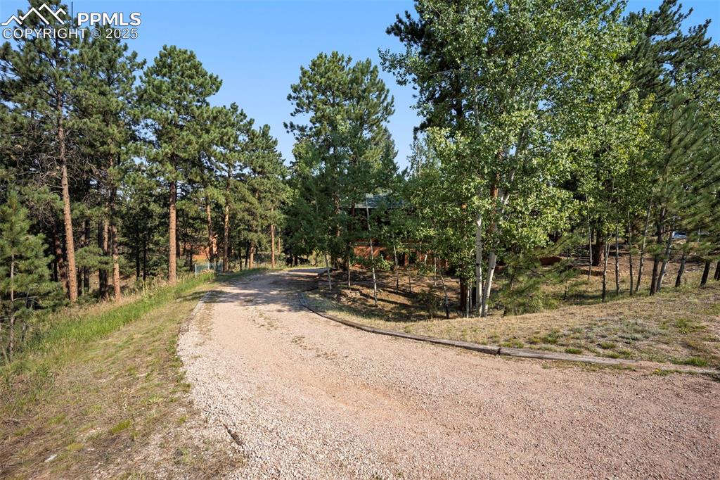 Image 28 of 33: View of dirt / gravel road