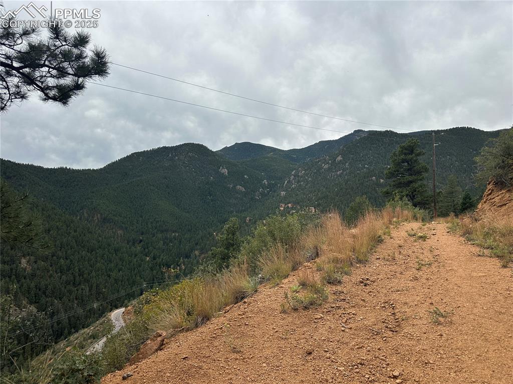 Image 10 of 23: Driveway