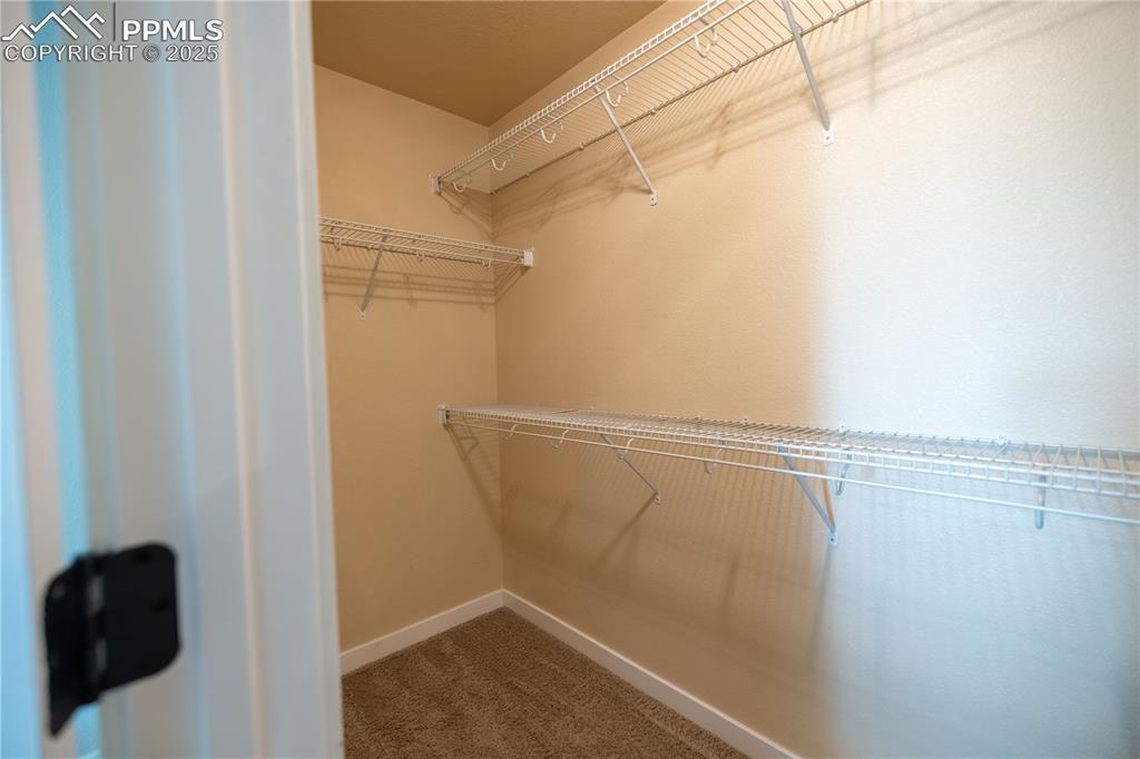 Image 27 of 42: Spacious closet with carpet flooring