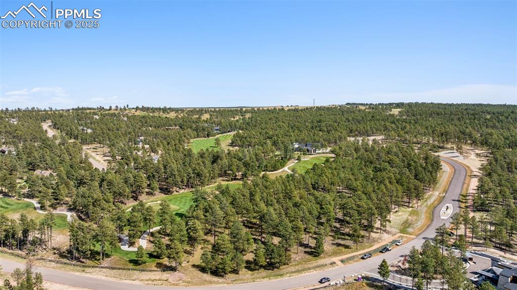 Image 7 of 14: Hole 15 and Horse monument in median.