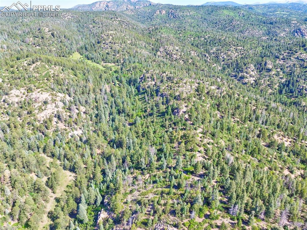 Image 37 of 49: Aerial View
