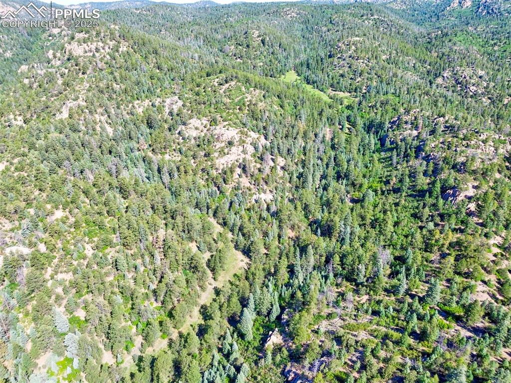 Image 42 of 49: Aerial View
