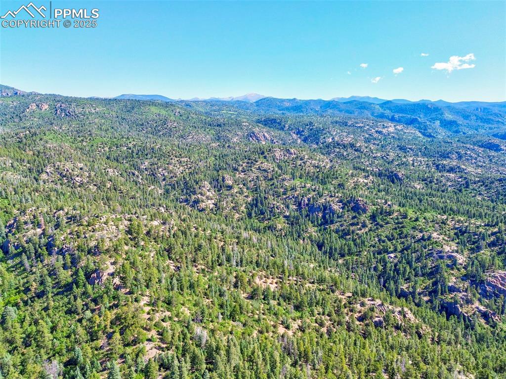 Image 43 of 49: View