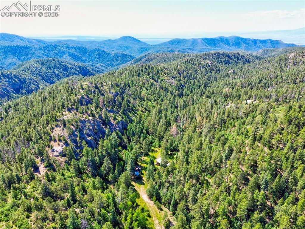 Image 44 of 49: Aerial View