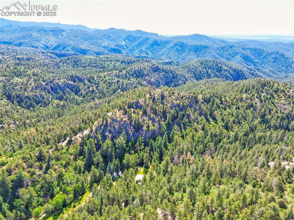 Image 45 of 49: View