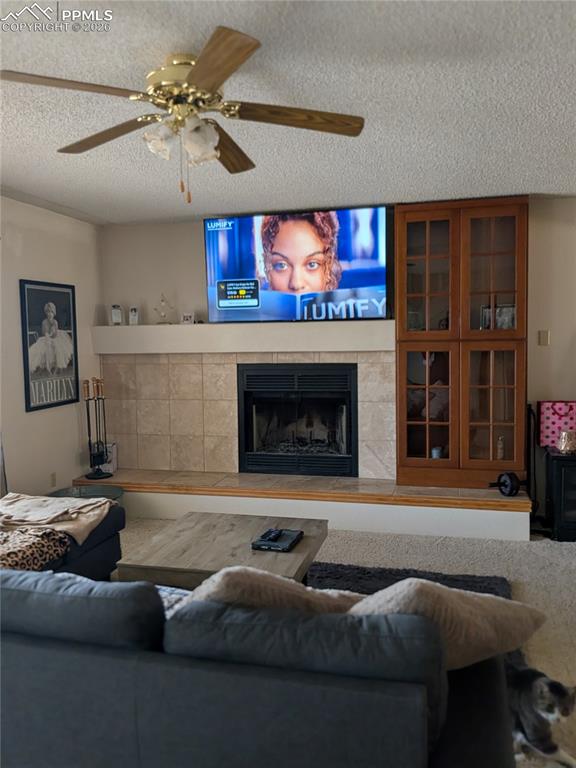 Image 17 of 29: Wood Burning Fire Place