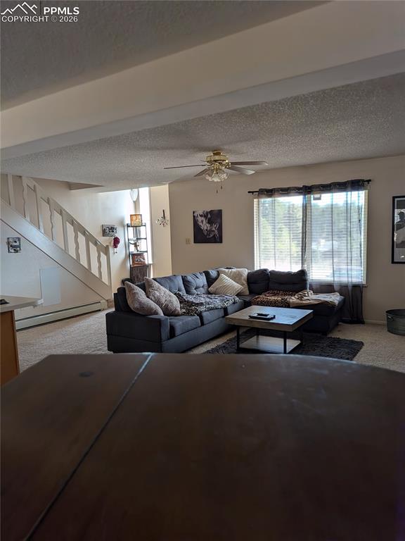 Image 18 of 29: Living Room