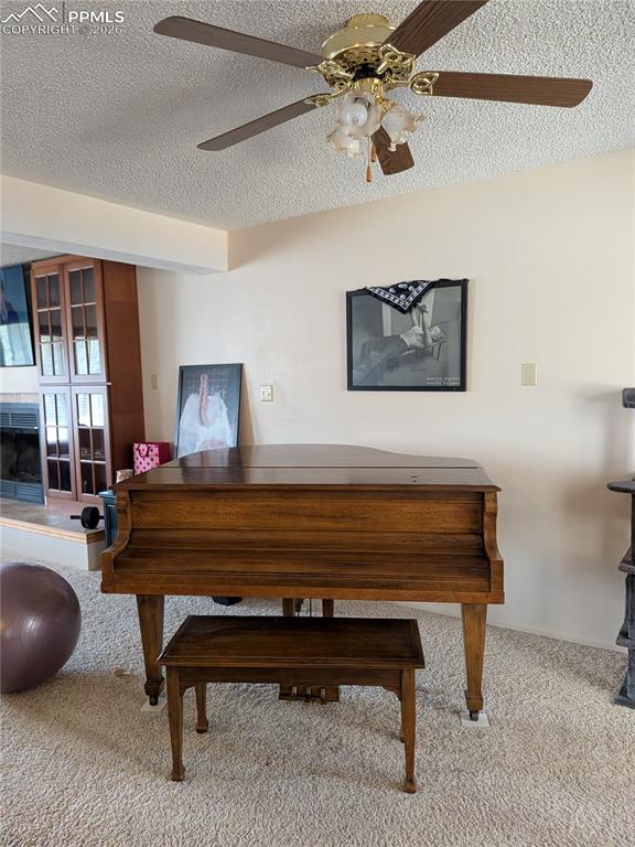 Image 20 of 29: Other