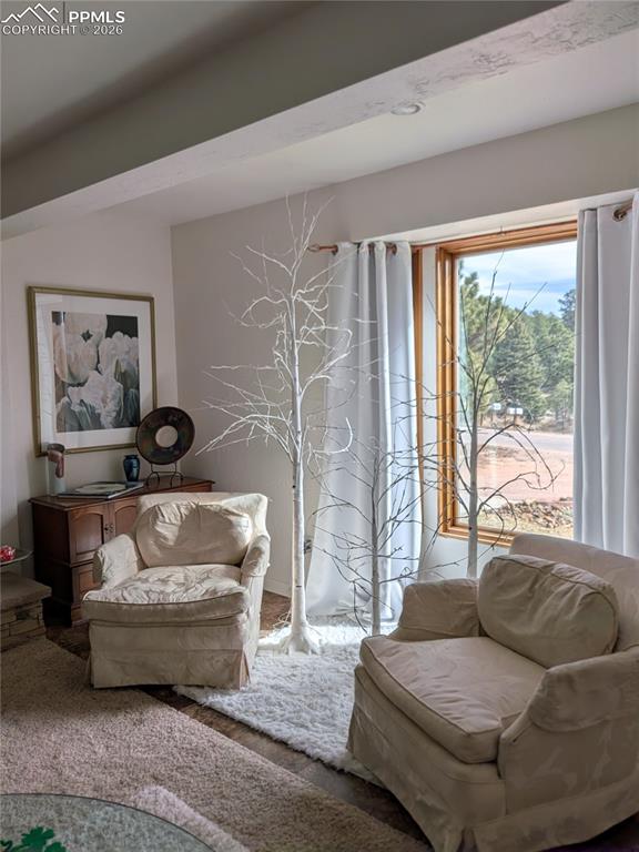 Image 4 of 29: Sitting area at Living Room