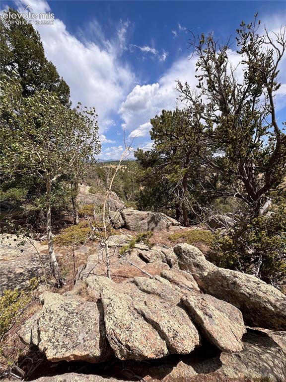 Image 15 of 17: Natural landscape featuring exposed rock formations and mature evergreen tr