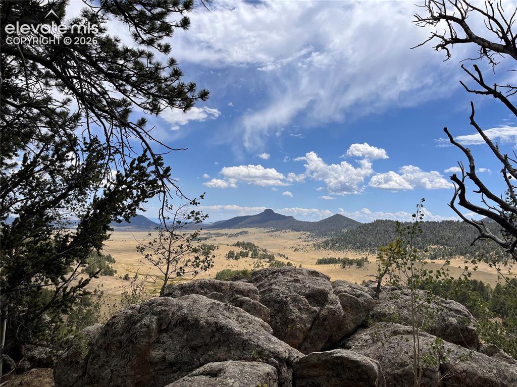 Image 17 of 17: Expansive natural landscape framed by mature trees, featuring a distant mou