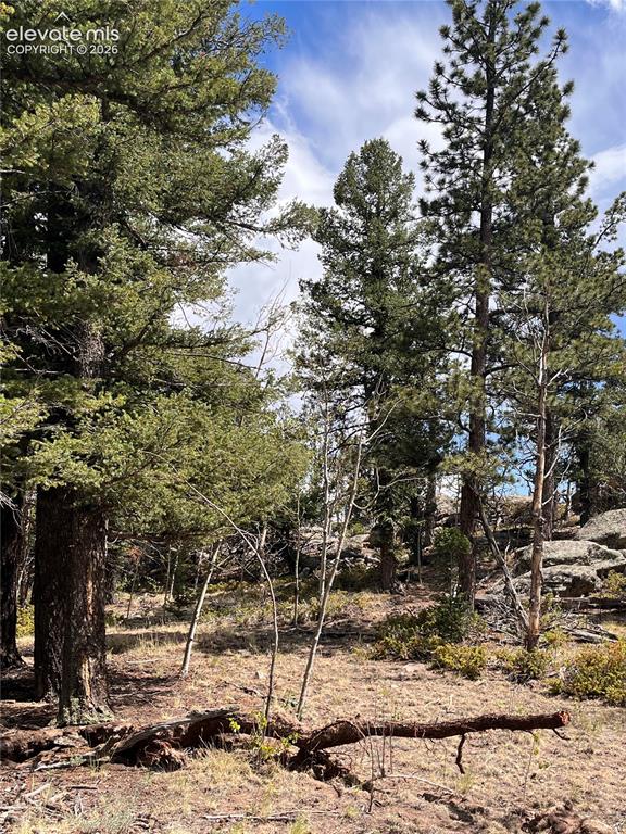 Image 8 of 17: slight slope mid to back twards boulder