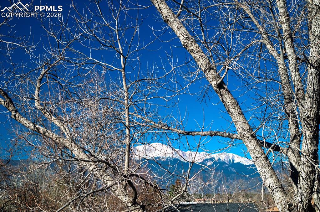 Image 19 of 24: View from bedroom