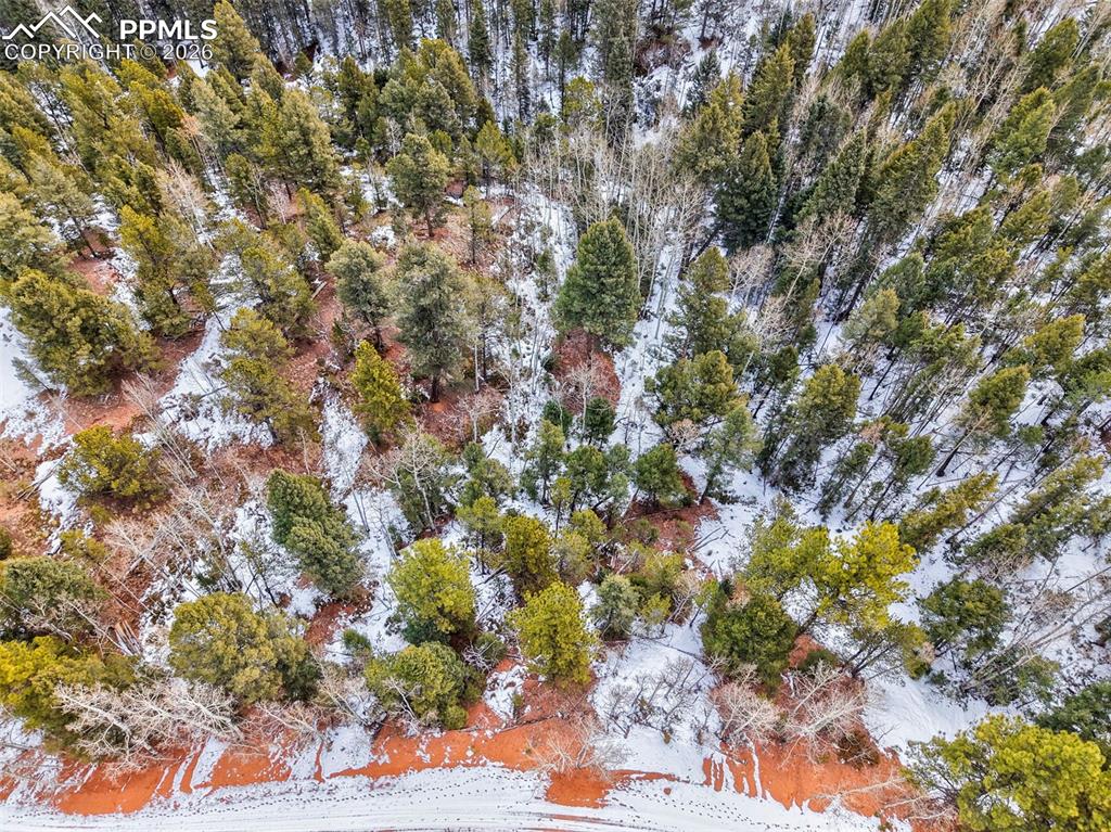 Image 15 of 15: Aerial View