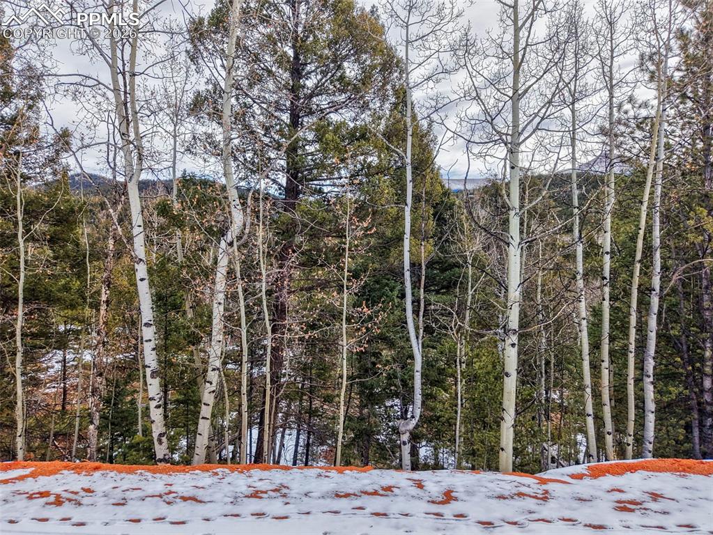 Image 2 of 15: Other