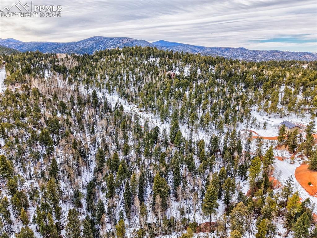 Image 9 of 15: Aerial View