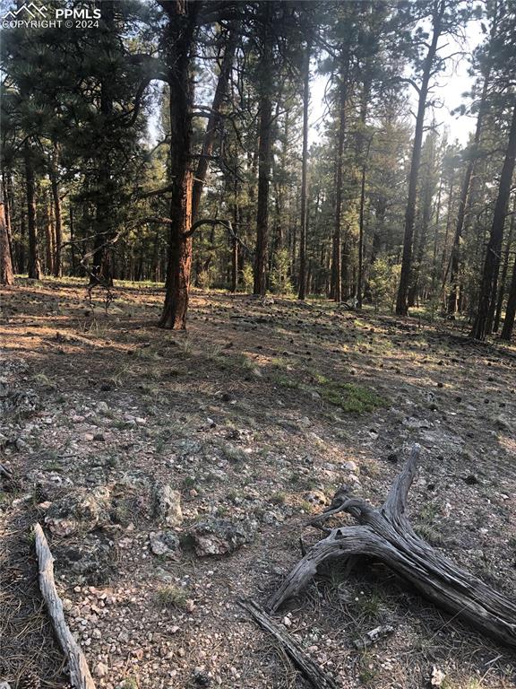 Image 12 of 13: View of nature