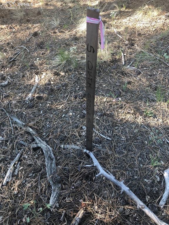 Image 5 of 13: View of exterior details