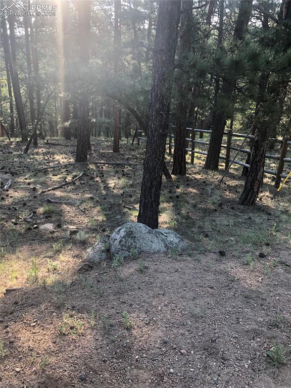 Image 7 of 13: View of mother earth