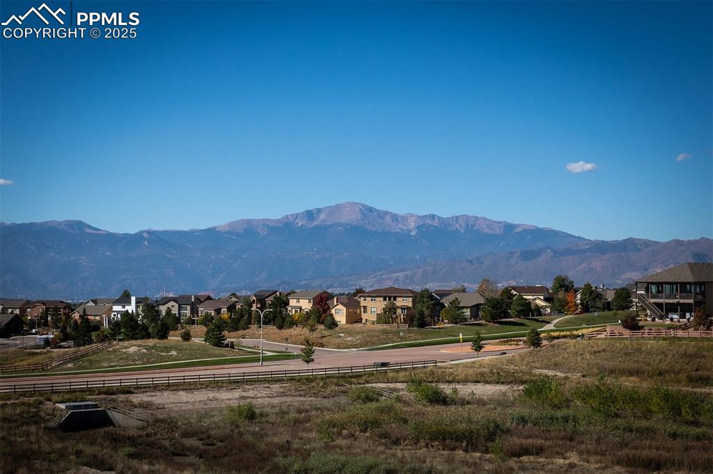 Image 44 of 44: View