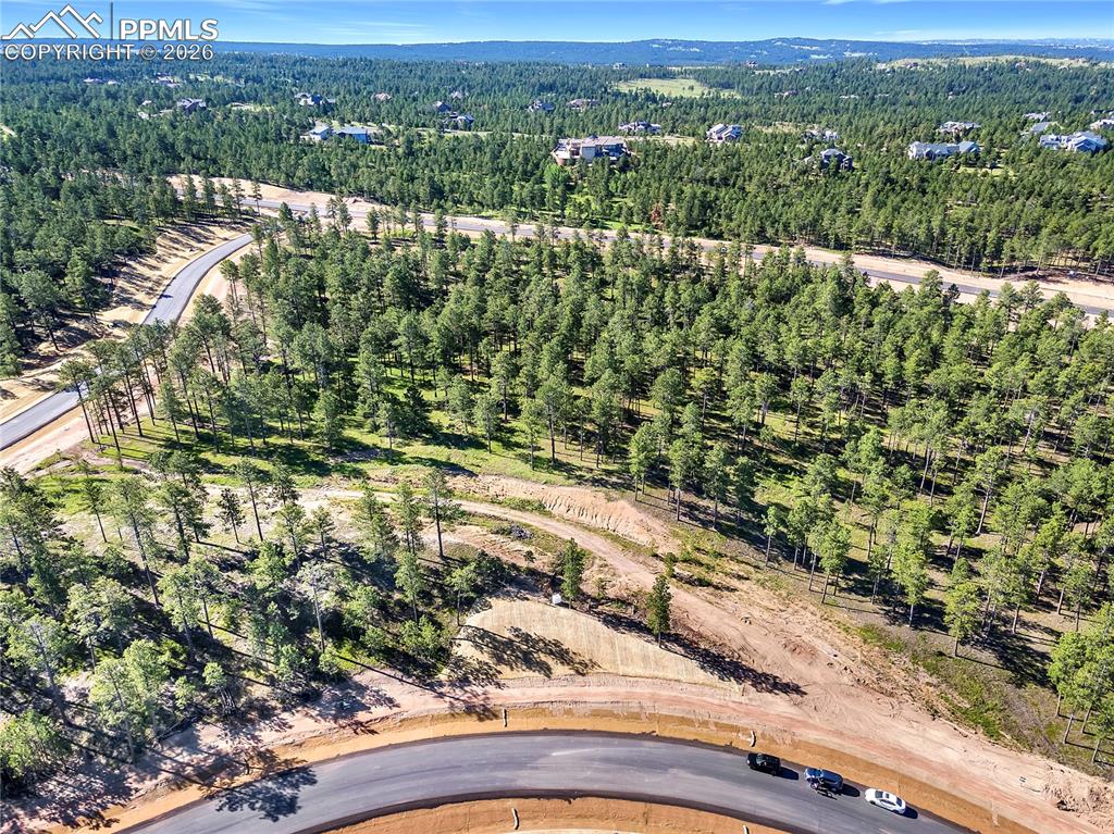 Caption: Aerial View