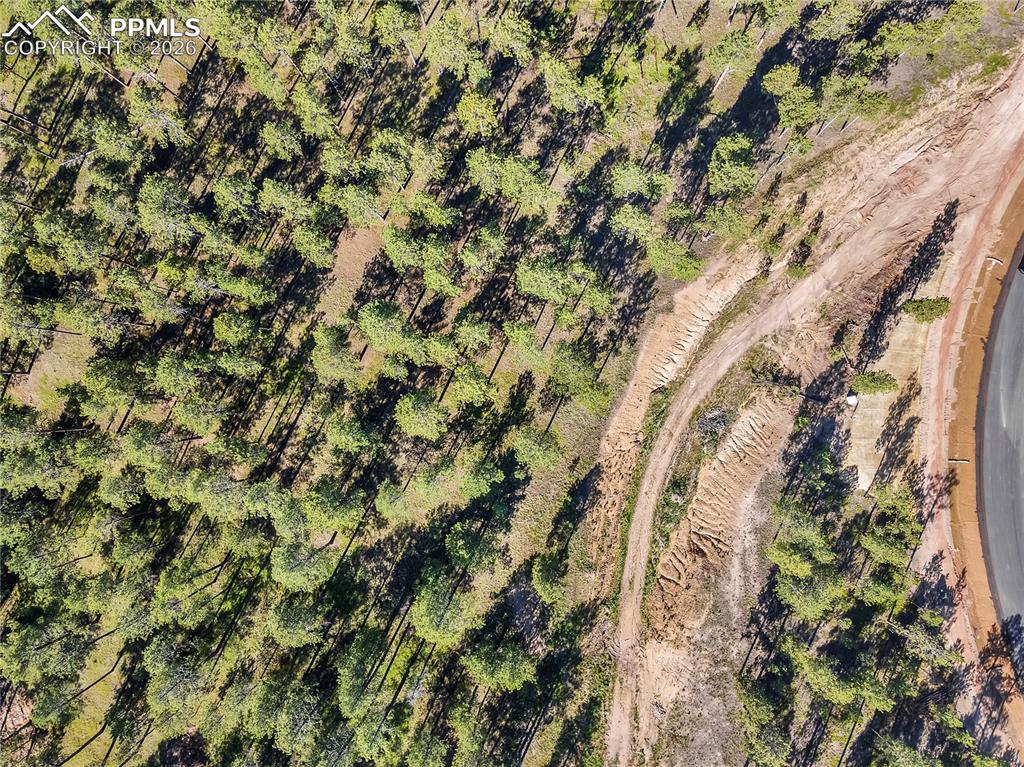 Image 6 of 8: Aerial View