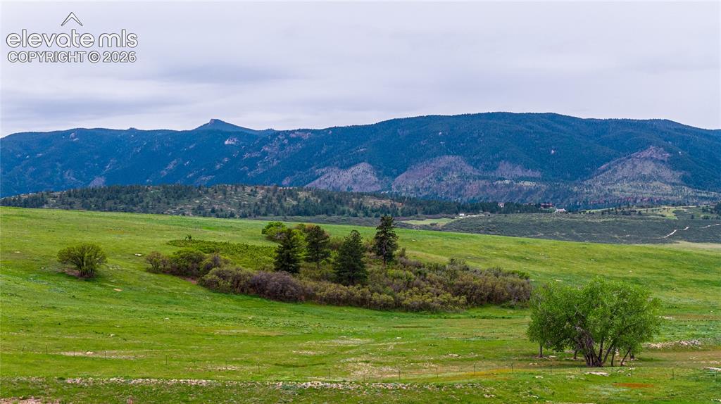Image 7 of 28: View