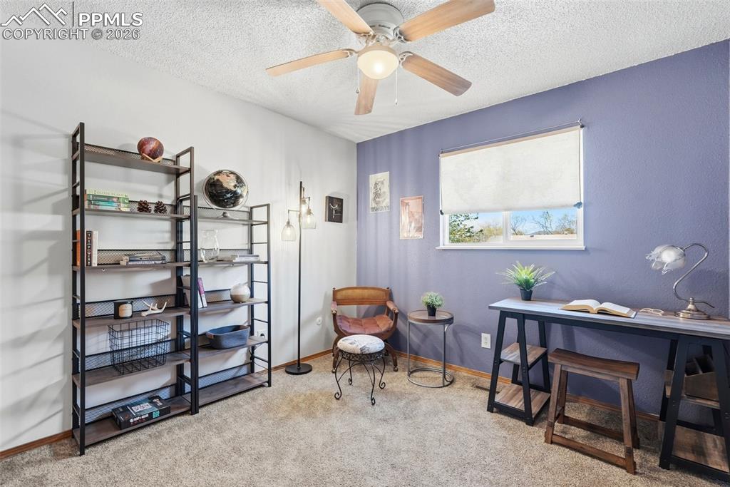 Image 22 of 50: Carpet, Wood Doors And Closets, Ceiling Fan