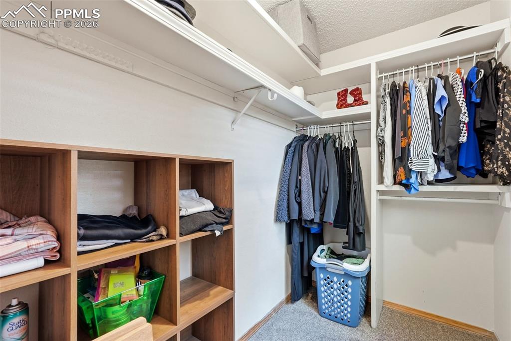 Image 28 of 50: Primary Bedroom Closet, Window, Carpet, Shelving