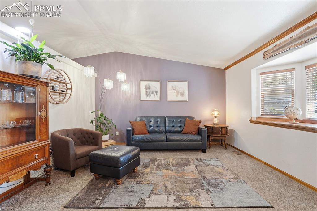 Image 7 of 50: Wood Floors, Vaulted Ceiling, Bay Window, Carpet, Built-Ins, Coat Closet