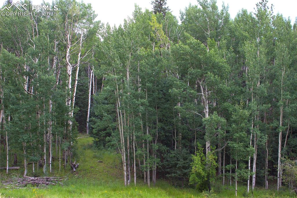 Image 10 of 13: Other