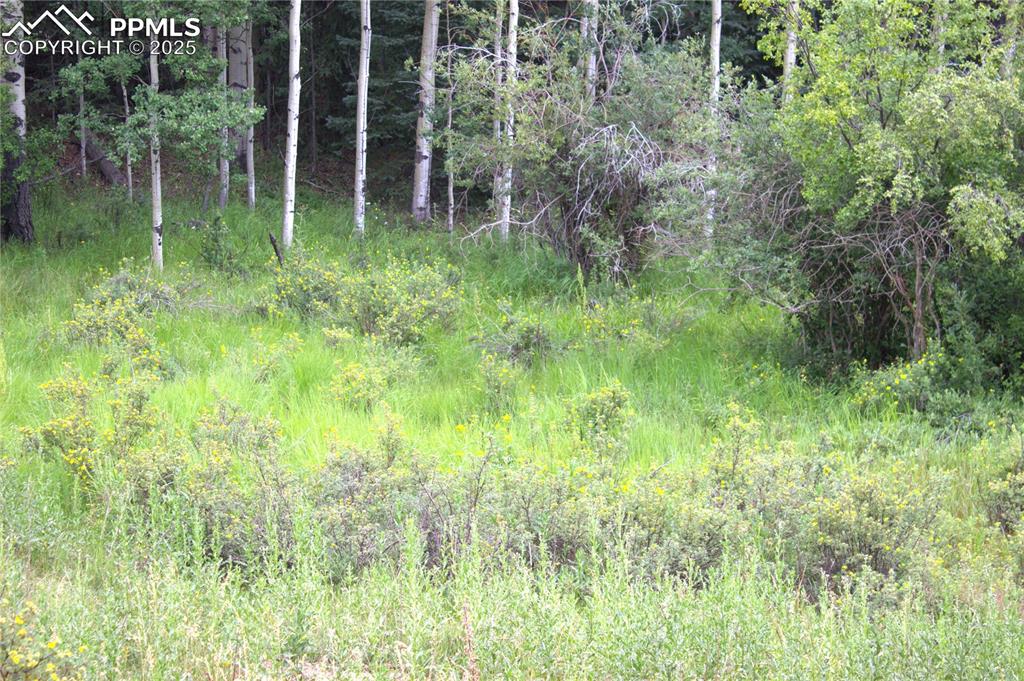 Image 11 of 13: Other