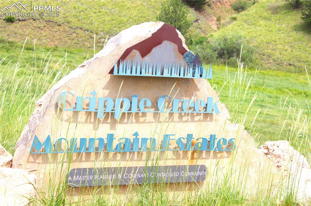 Image 12 of 13: Community