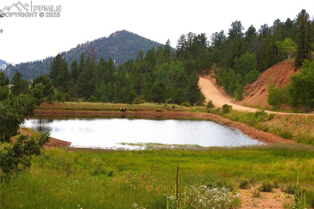 Image 13 of 13: Pond on corner of Vivenda and Grey
Eagle
