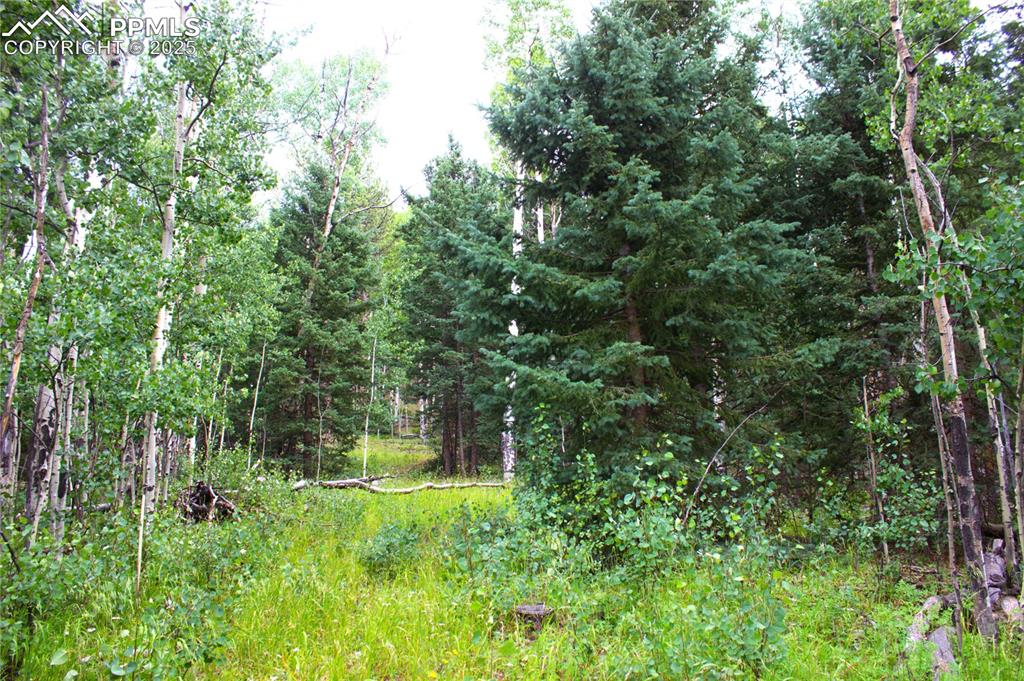 Image 2 of 13: Other