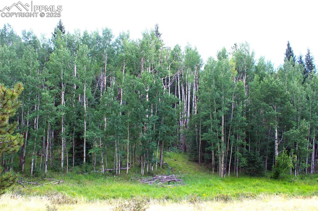 Image 3 of 13: Other