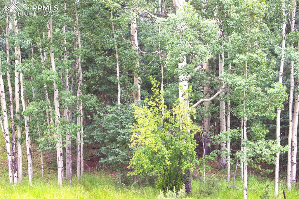 Image 4 of 13: Other