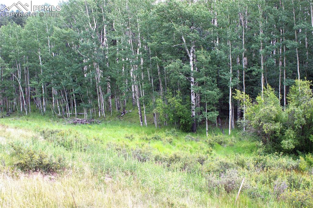 Image 5 of 13: Other