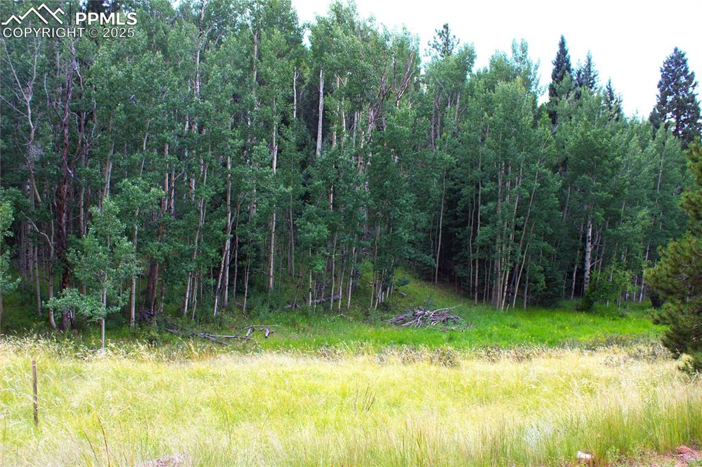 Image 6 of 13: Other