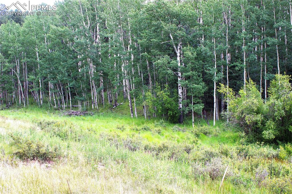 Image 7 of 13: Other