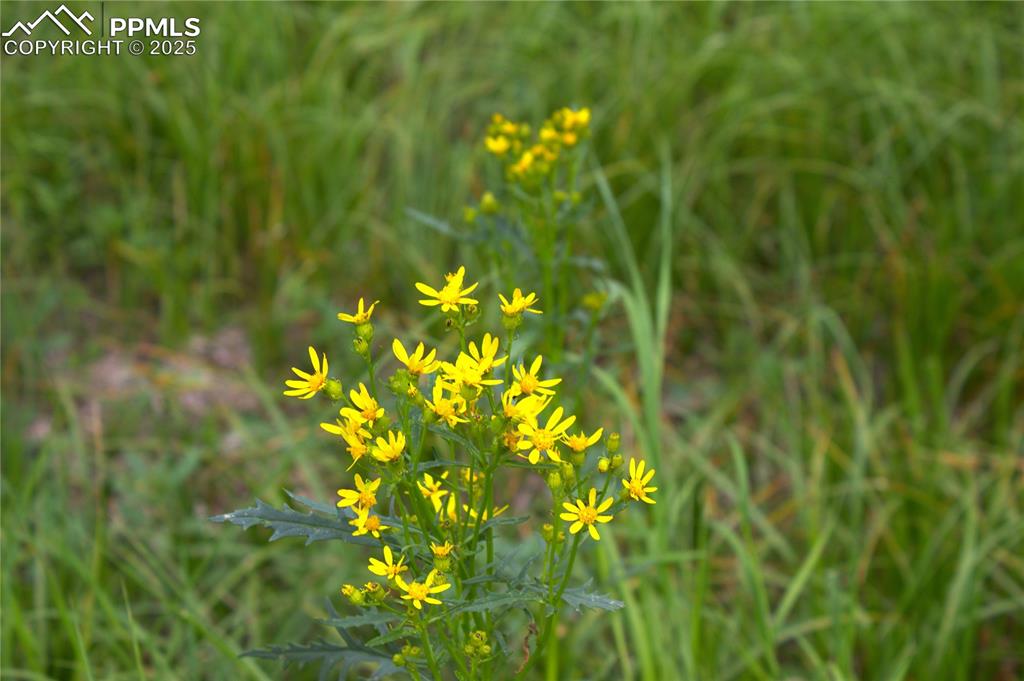 Image 8 of 13: Other