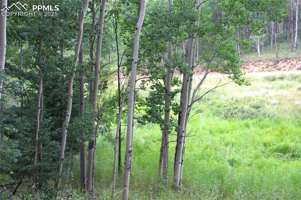 Image 9 of 13: Other